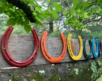 Arte della parete a ferro di cavallo Arcobaleno