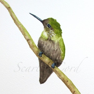 Hummingbird Watercolor Giclee Print, Bird Lover Art, 4x6, 5x7, 8x10, 11x14 sizes