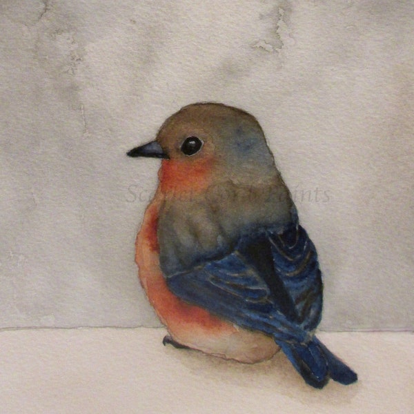 Watercolor Blue Bird Print, Abstract Bird Watercolor, 10x10, 8x8, 5x5, 4x4 Square Blue Bird Painting
