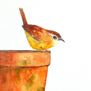 May include: A watercolor painting of a small brown and yellow bird perched on the rim of a terracotta flower pot.