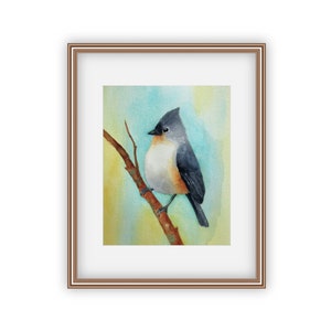 Watercolor Tufted Titmouse Bird Print, Bird Lovers Gift, 11x14, 8x10 Print, 5x7, 4x6, Bird Print, Woodland Decor, Bird Painting