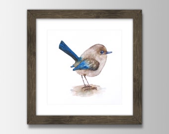 Watercolor Fairy Wren Print, Teal Bird Art, Square Wall Decor, Square Format, 4x4, 5x5, 8x8, 10x10 sizes
