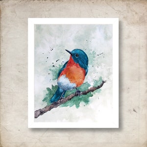 Eastern Blue Bird Watercolor Print, Bird Painting, 4x6, 5x7, 8x10, 11x14 Wall Decor