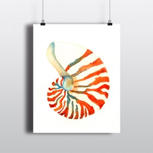 Nautilus Watercolor Painting, Beach Sea Shell Print, 4x6, 5x7, 8x10, 11x14 Print, Coastal Wall Decor, Nautical Theme