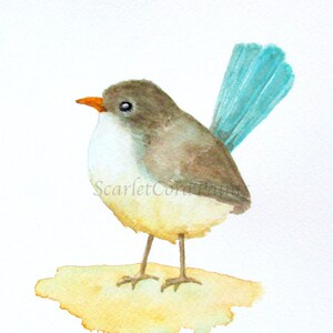 Fairy Wren Watercolor Giclee Print, Teal Blue Bird Art, 4x6, 5x7, 8x10, 11x14 sizes
