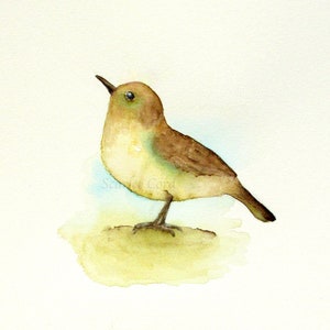 Bird Watercolor Print, Standing Brown Bird Painting, Bird Illustration, 4x6, 5x7, 8x10, 11x14 Horizontal Wall Decor