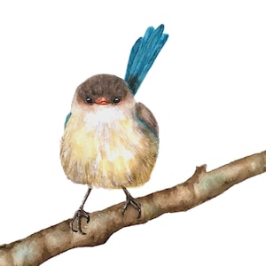 Blue Fairy Wren Watercolor Print, Bird on Branch, Woodland Art, 4x6, 5x7, 8x10, 11x14 sizes