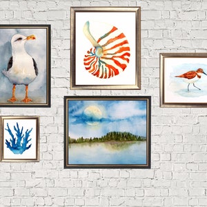 Impression aquarelle mouette, impression oiseaux côtiers, impression 4 x 6, 5 x 7, 8 x 10, 11 x 14, peinture de plage, thème nautique image 5