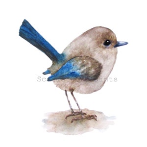 Blue Bird Watercolor Print, 4x6, 5x7, 8x10, 11x14 Print, Horizontal Standing Bird Painting,