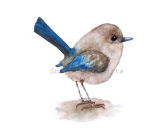 Impression aquarelle oiseau bleu, impression 4 x 6, 5 x 7, 8 x 10, 11 x 14, peinture oiseau debout horizontalement,