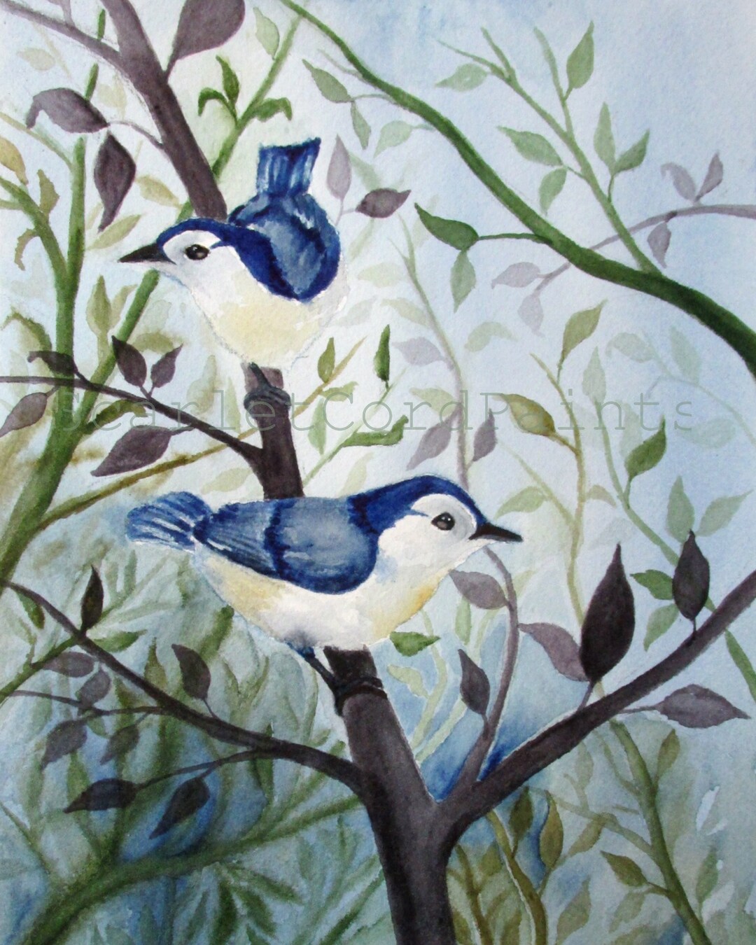 Nuthatch Watercolor Print, Two Blue Birds on a Branch Painting, 4x6 ...