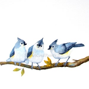 Blue Birds on a Branch Square Painting, Titmouse Bird Art Wall Decor, 10x10, 8x8, 5x5, 4x4 Print