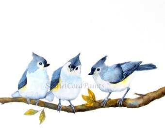 Titmouse Bird Giclée Print, Blue Birds on Branch, Square Wall Art, Square Format, 4x4, 5x5, 8x8, 10x10 sizes
