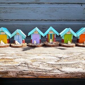 Handcrafted Brighton Inspired Mini Wooden Beach Huts with Seagull