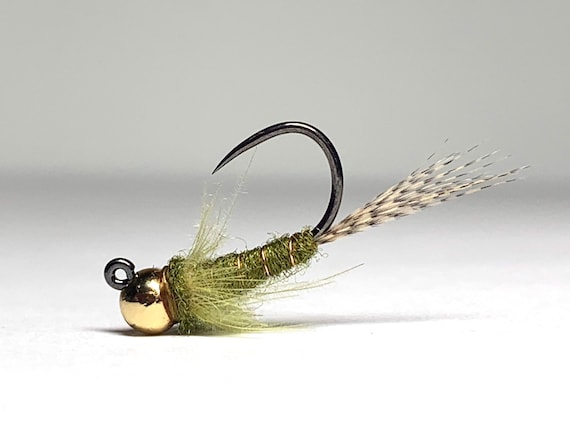 Olive CDC Tungsten Jig Nymph - Fly Fishing - Euro Nymph - Trout Flies -  Steelhead Flies