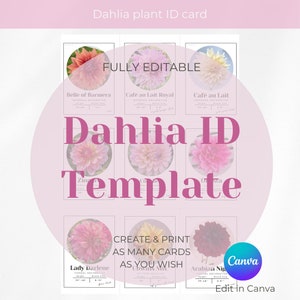 Tarjeta de identificación de planta de dalia: plantilla de Canva para descargar al instante