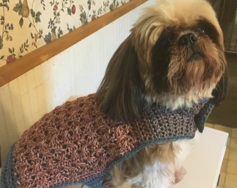 May include: A small, brown and white dog wearing a crocheted sweater with a brown and blue pattern. The sweater has a button closure on the side.