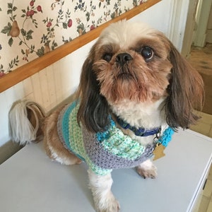 Crochet Dog Sweater Digital Pattern