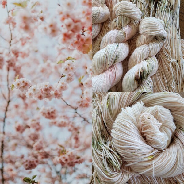 Cherry Blossoms, 80/20 SW Merino/ Nylon,   fingering weight, sock yarn, sport weight, Hand dyed yarn