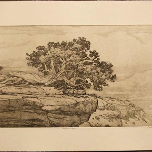 Mesa's Edge mesa, tree, sepia toned, etching,intaglio, limited edition, signed and numbered, southwest landscape,new mexico, cream paper image 1