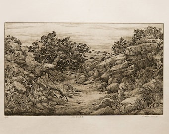 The Bend II  - tree, arroyo, landscape etching.