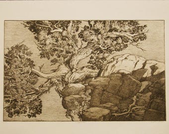 Cliff Hanger -- Copper plate etching of tree and rocks