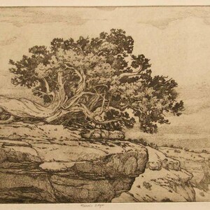 Mesa's Edge mesa, tree, sepia toned, etching,intaglio, limited edition, signed and numbered, southwest landscape,new mexico, cream paper image 2
