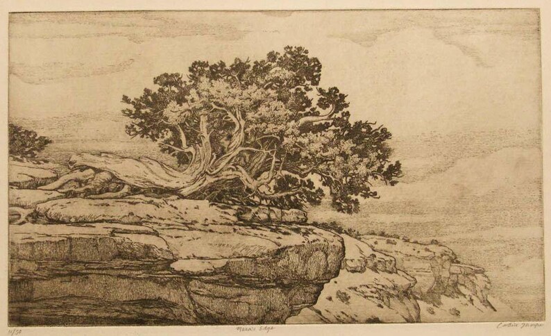 Mesa's Edge mesa, tree, sepia toned, etching,intaglio, limited edition, signed and numbered, southwest landscape,new mexico, cream paper image 2