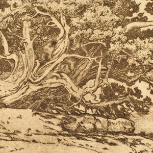Mesa's Edge mesa, tree, sepia toned, etching,intaglio, limited edition, signed and numbered, southwest landscape,new mexico, cream paper image 4