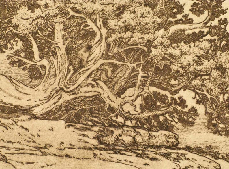 Mesa's Edge mesa, tree, sepia toned, etching,intaglio, limited edition, signed and numbered, southwest landscape,new mexico, cream paper image 4