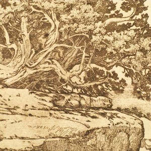 Mesa's Edge mesa, tree, sepia toned, etching,intaglio, limited edition, signed and numbered, southwest landscape,new mexico, cream paper image 3