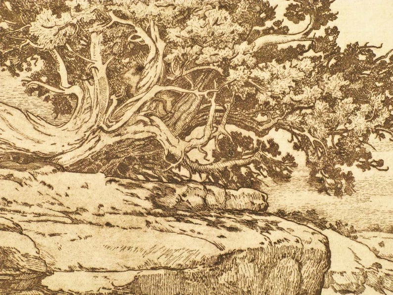 Mesa's Edge mesa, tree, sepia toned, etching,intaglio, limited edition, signed and numbered, southwest landscape,new mexico, cream paper image 3