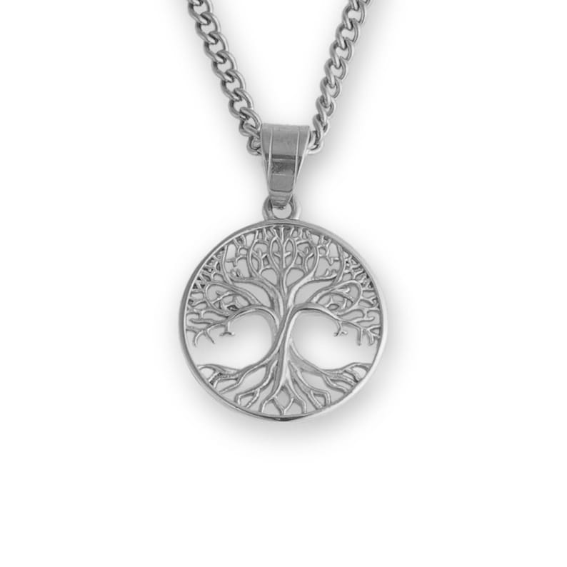 May include: A silver necklace with a circular pendant featuring a detailed tree of life design.
