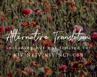 Alternative Bible Translation
