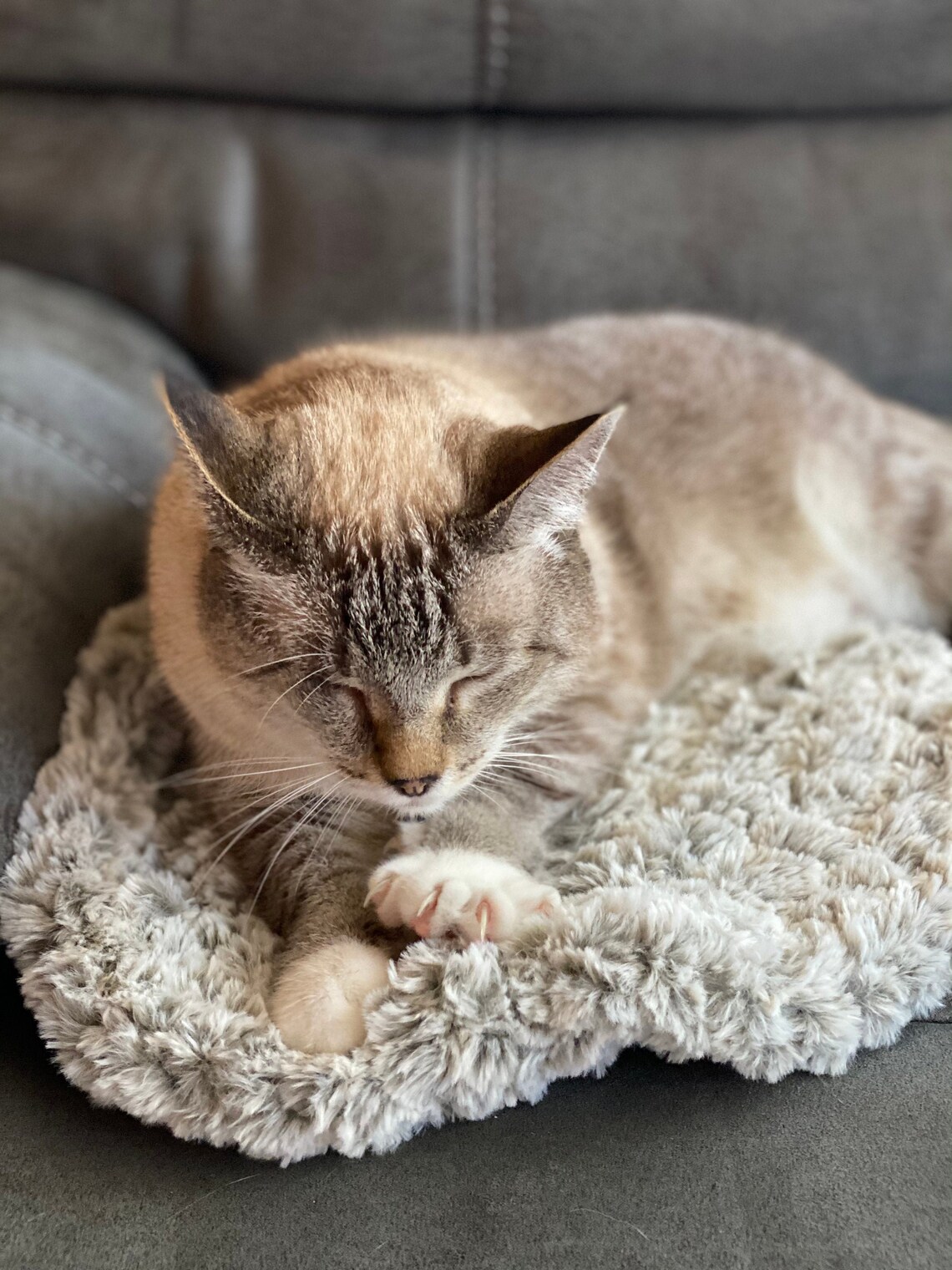 Faux fur rug for cat cat relax faux fur rug fluffy mat for Etsy