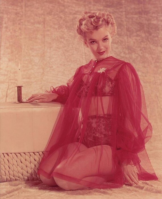 Vintage 1950s/60s sheer cape L - image 2