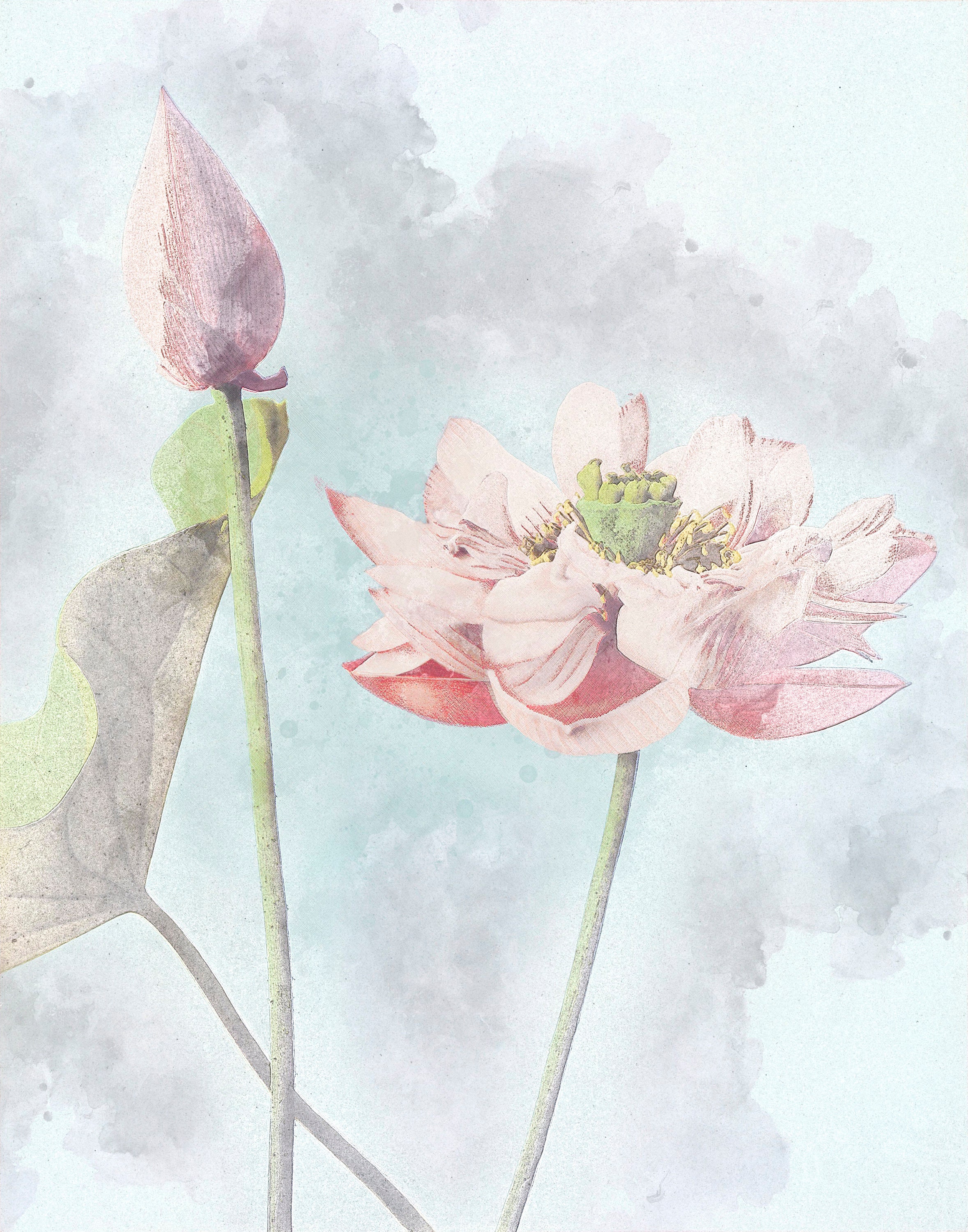 Digital Print Wall Art- Lotus Flower Pastel Watercolor Poster, Instant ...
