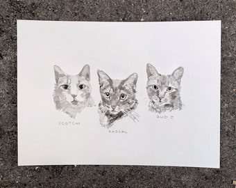 May include: Black and white ink drawing of three cats. The cats are named Scotchy, Rascal, and Bud Jr. The drawing is on white paper.