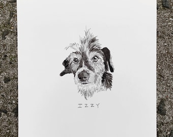 May include: Black and white ink drawing of a dog named Izzy. The dog has a scruffy, fluffy coat and is looking directly at the viewer.