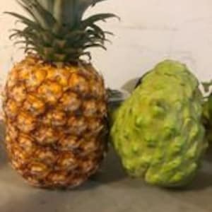 May include: A ripe pineapple with a textured, golden-brown exterior stands next to a green, bumpy cherimoya fruit. The pineapple has a crown of green leaves. Both fruits are on a light-colored surface.
