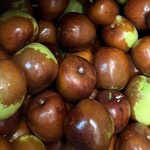 May include: A close-up shot of a pile of fresh jujubes. The fruits vary in color, with some displaying a mix of green and brown hues, while others are a deep reddish-brown. The jujubes have a smooth, glossy skin.