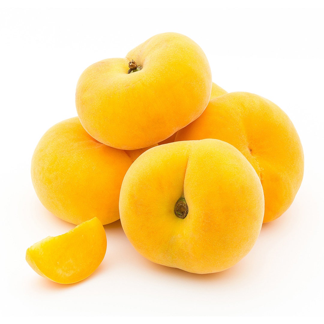 Yellow Donut Peach 3/4 Inch Trunk 4ft Tall Ship in Pot Etsy