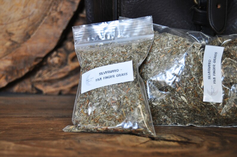 May include: Two clear plastic bags filled with dried Silverweed - Five Finger Grass. Each bag has a white label with the product name. The bags are on a wooden surface with a dark leather bag in the background.