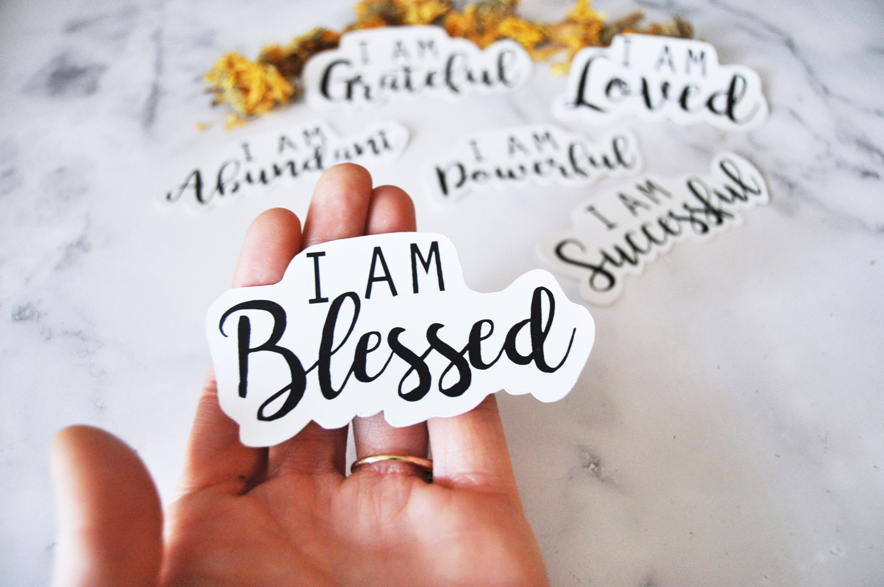 Set of 6 I am Affirmation stickers positive affirmation Etsy