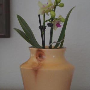 Beautiful Turned Aspen Wood Vase 5&quot; Tall 4.5&quot; Wide ~ Colorado Artist Signed Luke Duncan
