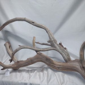 May include: A large piece of driftwood with a natural, weathered appearance. The wood has a mix of light brown and gray tones, with a curved, organic shape. Ideal for home decor or craft projects.