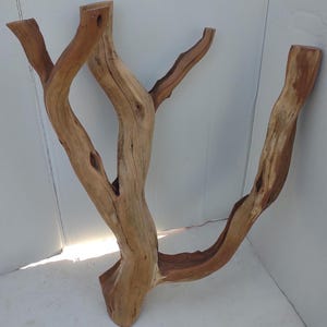 Manzanita Driftwood Aquarium Terrarium Reptile Décor Branch
