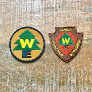 Up Movie Russell Costume Boy Scout Embroidered Sew On Iron On Patch Badge DIY Carl Fredricksen Disney Pixar Dug WE - Demogorgon Patches - DP