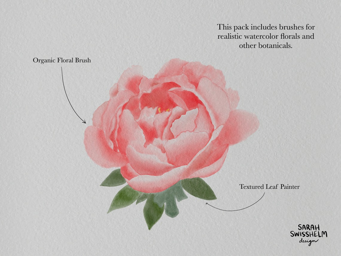 Realistic Watercolor Brushes for Procreate: Paper Texture, Stamps ...