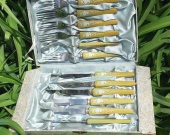 Vintage Flatware Boxed Set Avocado Green Stainless Steel Sheffield England Cameo